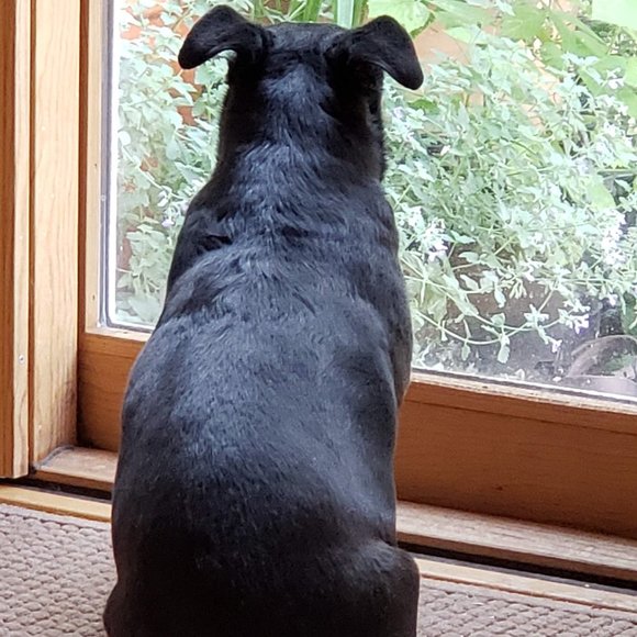 Thriftyminded's upcoming thoughtfully curated live shows - Picture 9 of 9